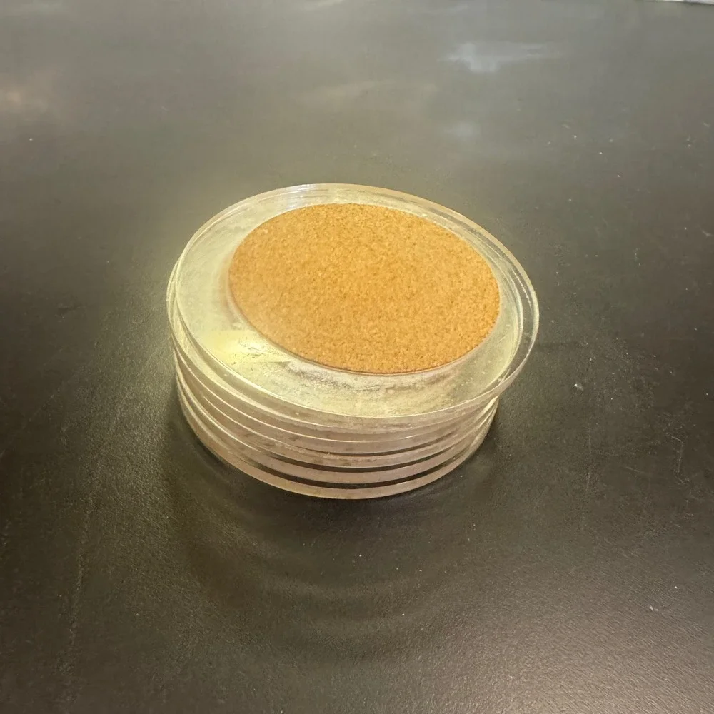 Vintage Coasters Set of 6 Clear Tan Lucite Acrylic Cork Mid Century Modern